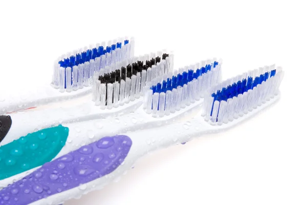 Cuatro cepillos de dientes — Foto de Stock