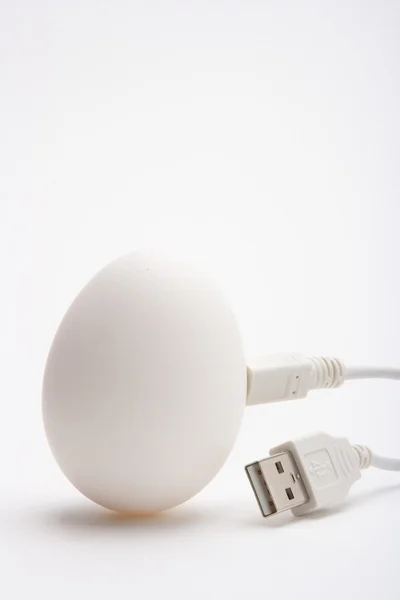 USB eggs — Stock Photo, Image