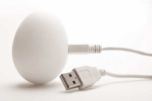 USB yumurta 2 — Stok fotoğraf