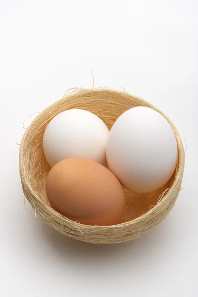 Яйца на гнезде — стоковое фото