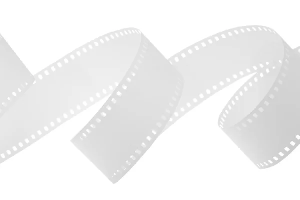 Кинолидер белых — стоковое фото