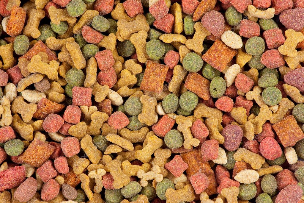 Dog Food Top View ⬇ Stock Photo, Image by © ChepeNicoli 6086142