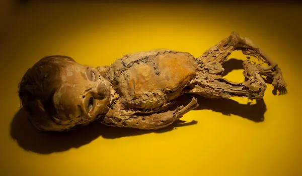 Мало мумія — стокове фото