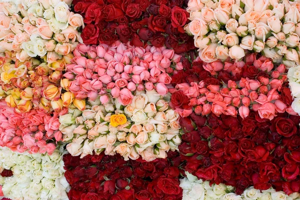 Bouquet de roses 2 — Photo