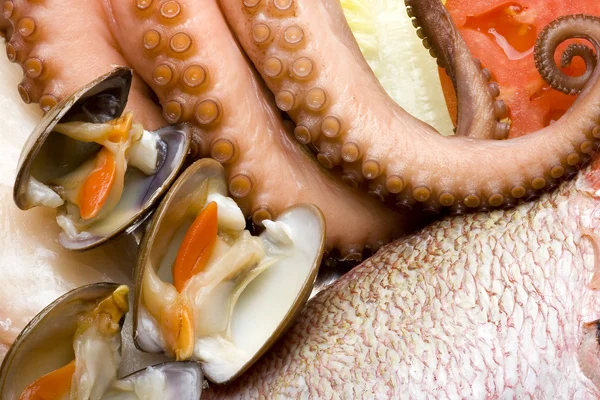 Seafood 3 — Stock Photo, Image