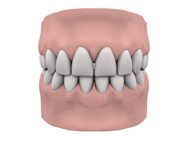 Teeth and gums clipart