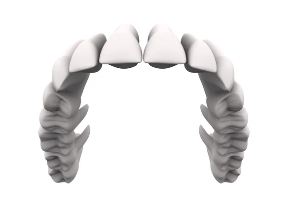 Upper teeth 1 — Stock Photo, Image