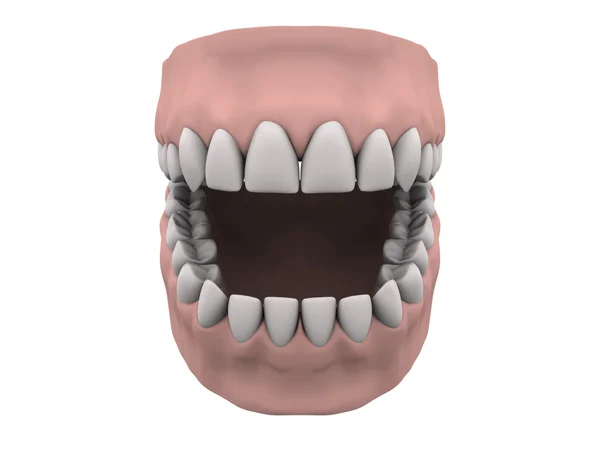 Zähne und Zahnfleisch offen — Stockfoto