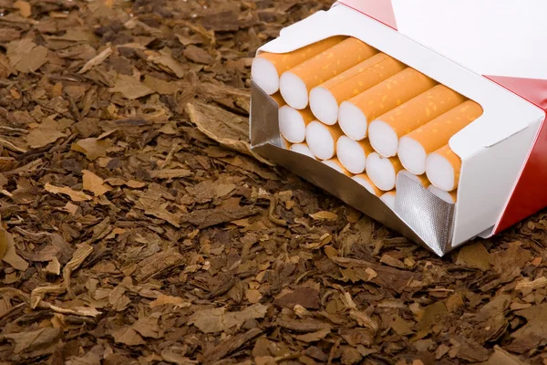 Tabak en sigaretten — Stockfoto