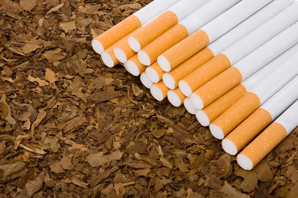 Tobak och cigaretter 2 — Stockfoto