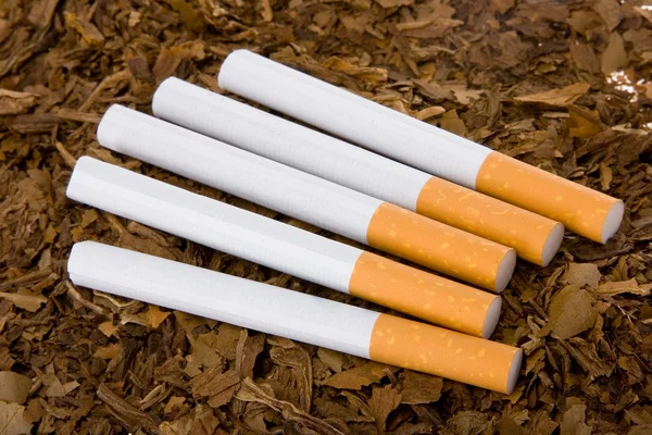 Tobak och cigaretter 3 — Stockfoto