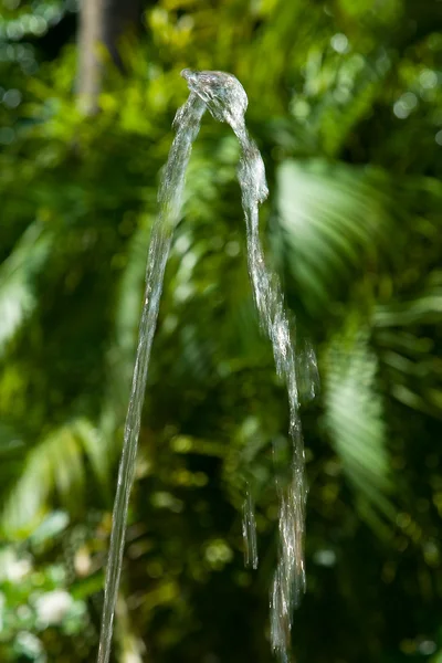Gejzír vody — Stock fotografie