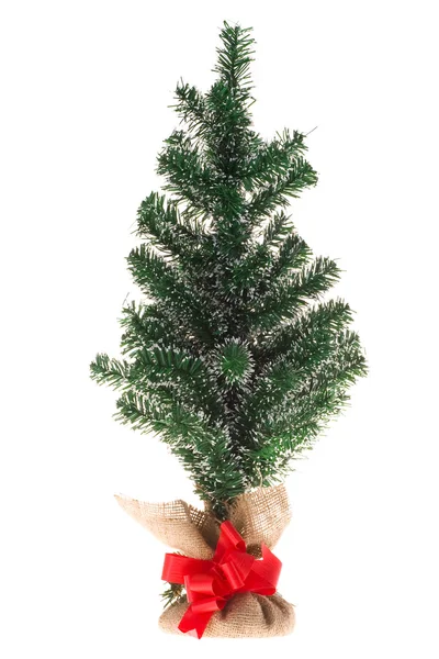 Pequeño árbol de Navidad —  Fotos de Stock
