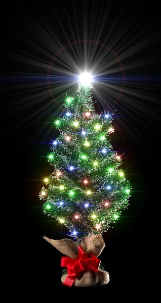 stock image Christmas tree with flares