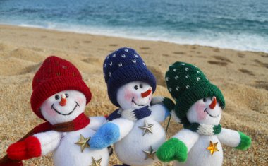 Family s winter vacation clipart