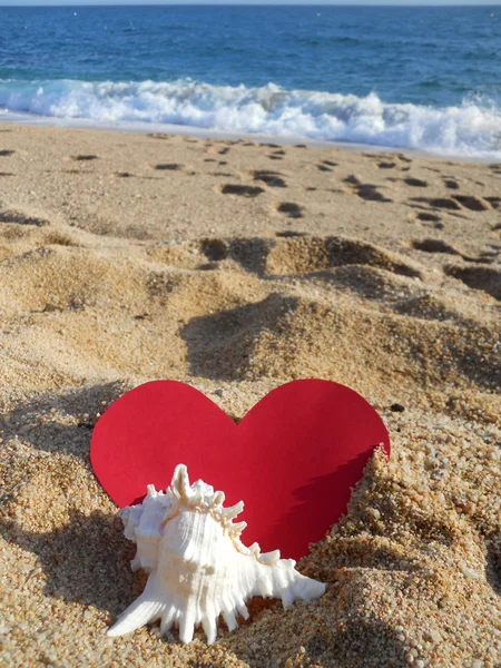 Mar, coração e concha — Fotografia de Stock