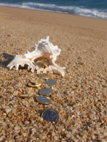 Treasure on the beach — Stock Photo, Image