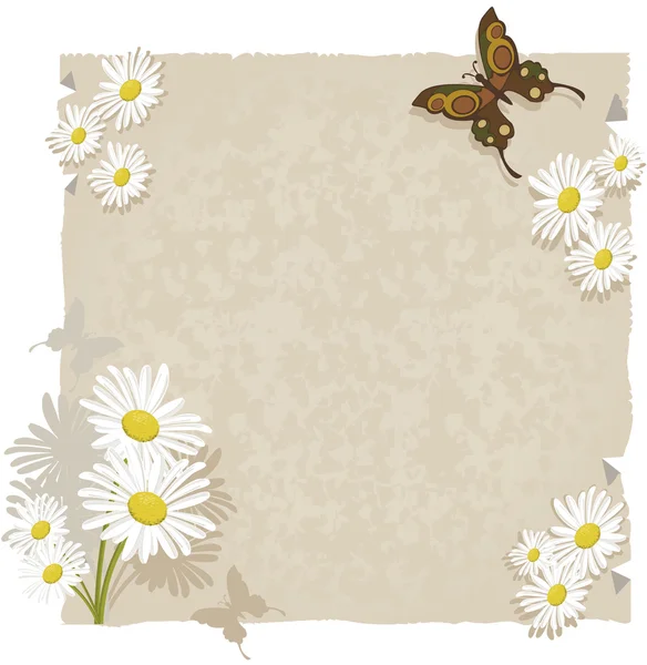 Papier mit Gänseblümchen und Schmetterlingen. — Stockvektor