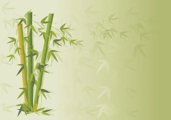 Bambus i oddziałów — Wektor stockowy
