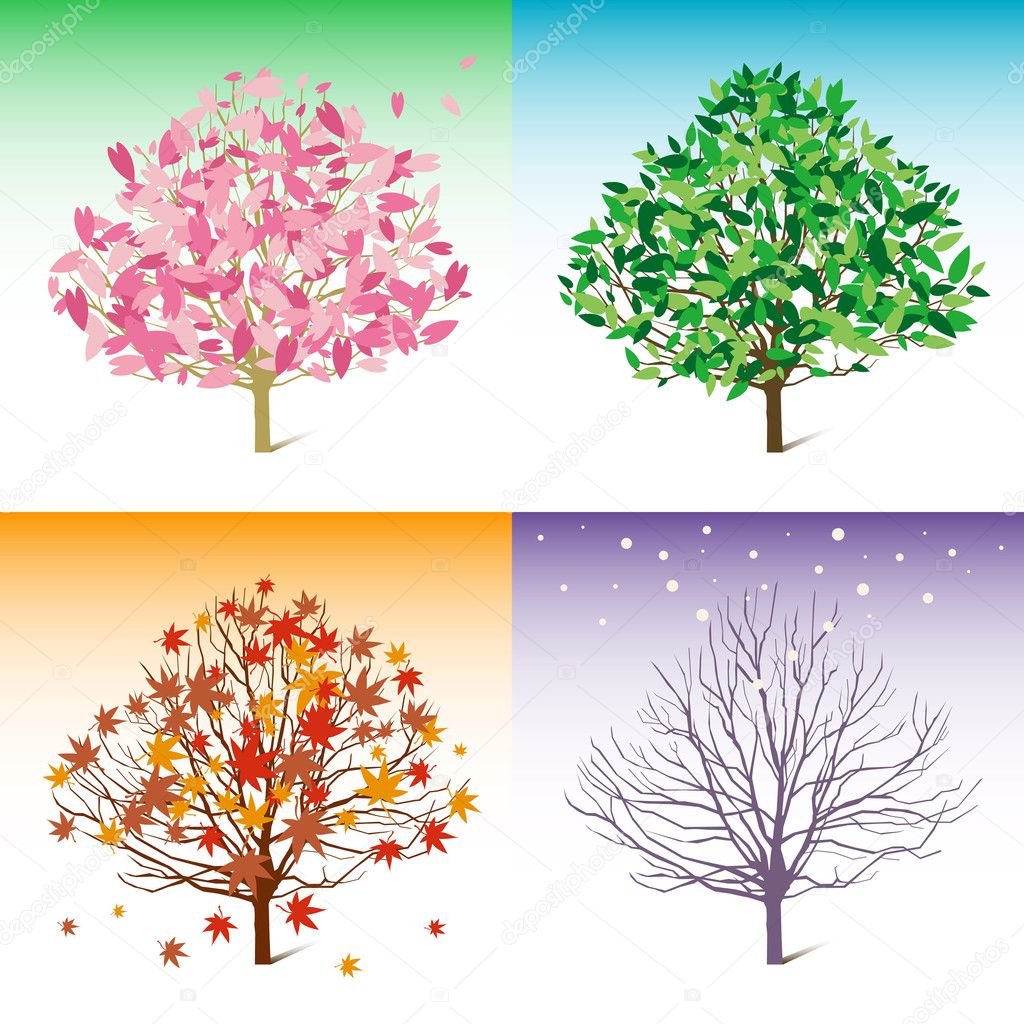 Vector tree illustration, spring, summer, winter, autumn
