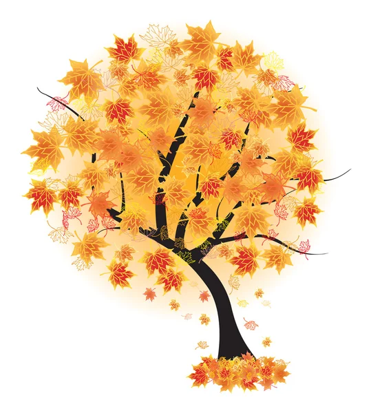 Εμπίπτουν φθινόπωρο φύλλα δέντρο σφενδάμνου — Διανυσματικό Αρχείο