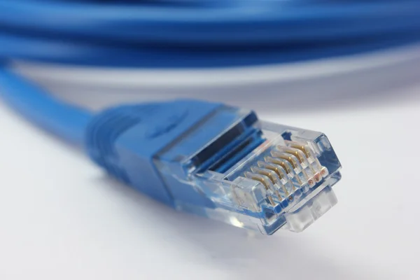 흰색 배경에서 파란색 컴퓨터 케이블 — 스톡 사진