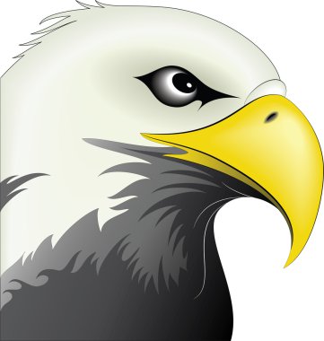 Eagle Face clipart