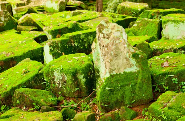 stock image Big stone with grass and moss