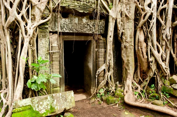 Kalıntıları tapınaklar, angkor wat, cambodia - Stok İmaj