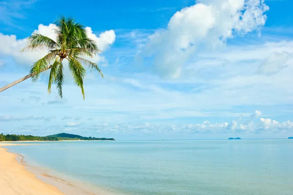 Tropik plaj — Stok fotoğraf