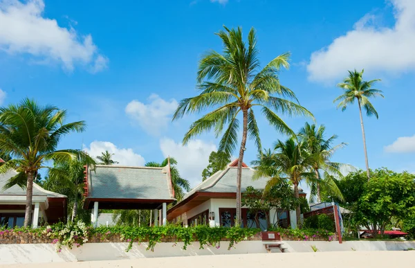 Palmiye ağaçları ile güzel bir ev — Stok fotoğraf