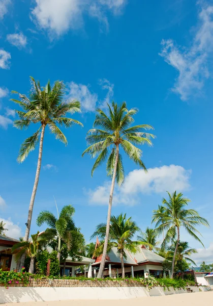 Piękny dom z palmami na plaży — Zdjęcie stockowe