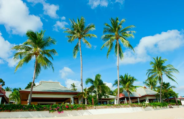 Krásný dům se palmy na pláži — Stock fotografie