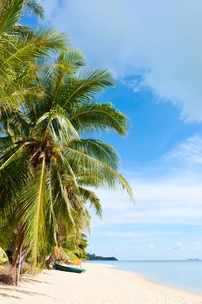Tropischer Strand auf den Seychellen — Stockfoto