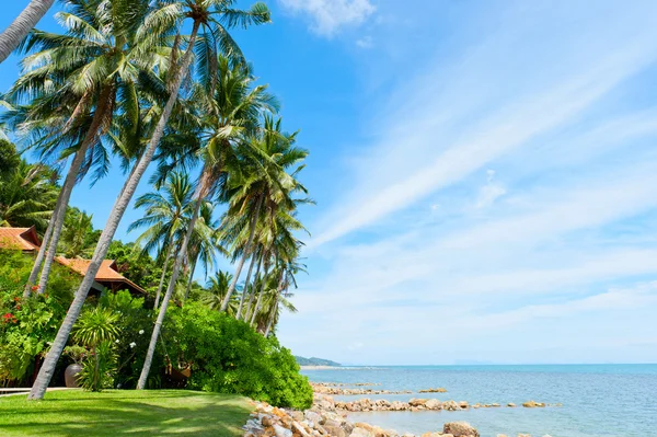 Beautiful house with palm trees on the beach — Stock Photo, Image