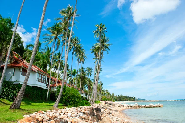 在海滩上的棕榈树间漂亮的房子 — 图库照片