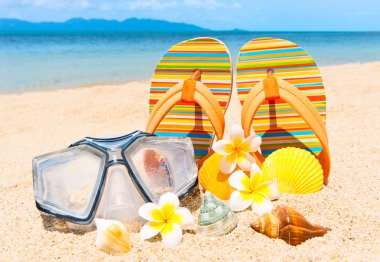 Seashells and diving mask on the sand. clipart