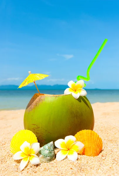 Пляж с пальмовым и экзотическим коктейлем — стоковое фото