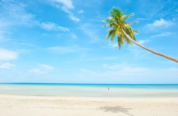 Пляж с пальмой над песком и человеком в океане — стоковое фото