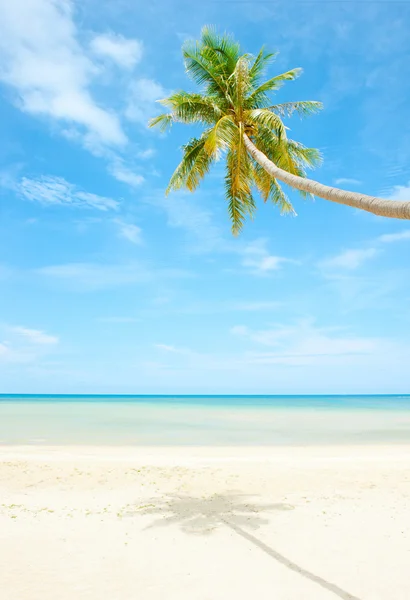 Vackert hus med palmer på stranden — Stockfoto