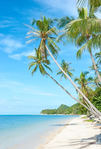 Tropikalnej plaży - tło wakacje — Zdjęcie stockowe
