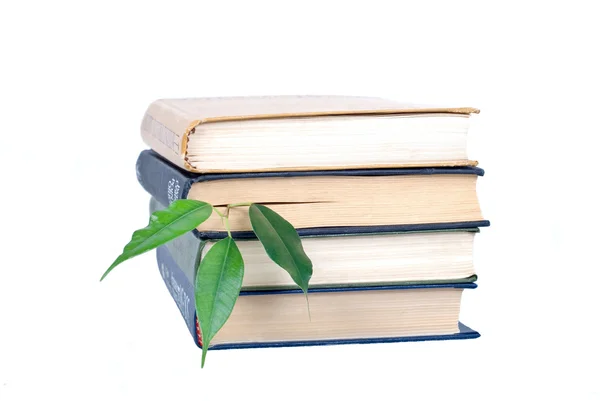 Boek en boom geïsoleerd op witte achtergrond — Stockfoto