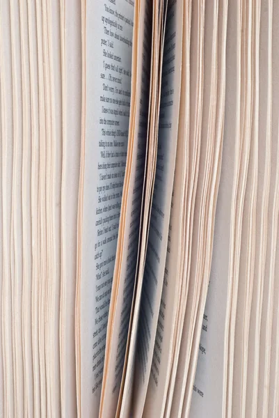 Book pages — Stock Photo, Image