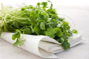 Fresh coriander clipart