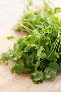 Fresh cilantro clipart