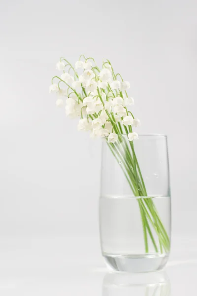 Bouquet of lily of the valley — Stock Photo, Image