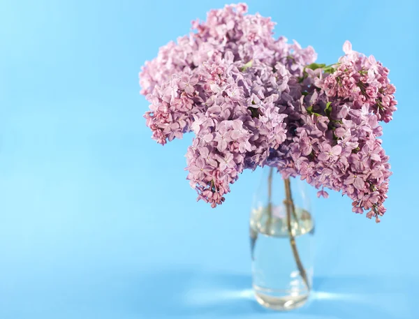 Bukett lila lilac — Stockfoto