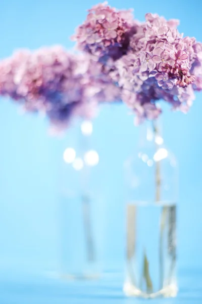 Buquê de lilás violeta — Fotografia de Stock
