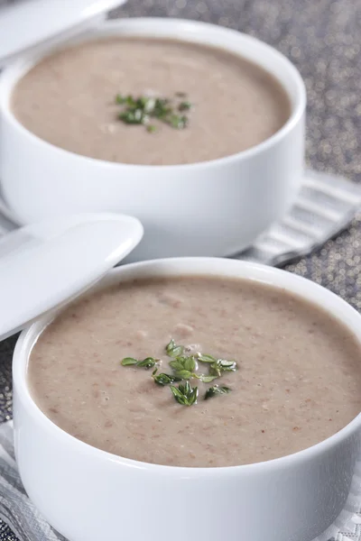 stock image Cream soup