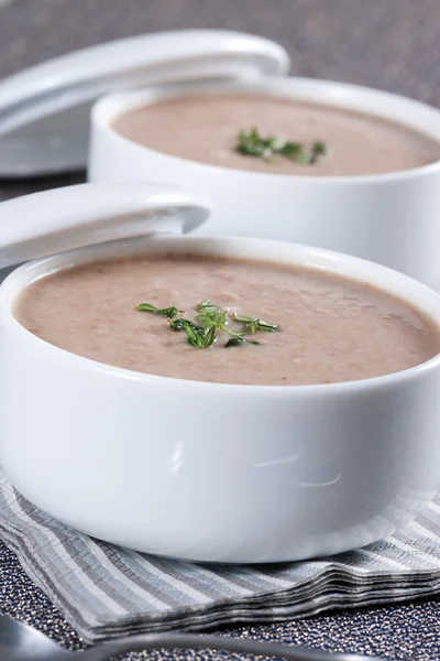 Stock image Cream soup